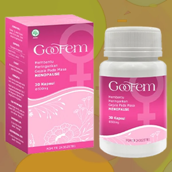 GOOFEM